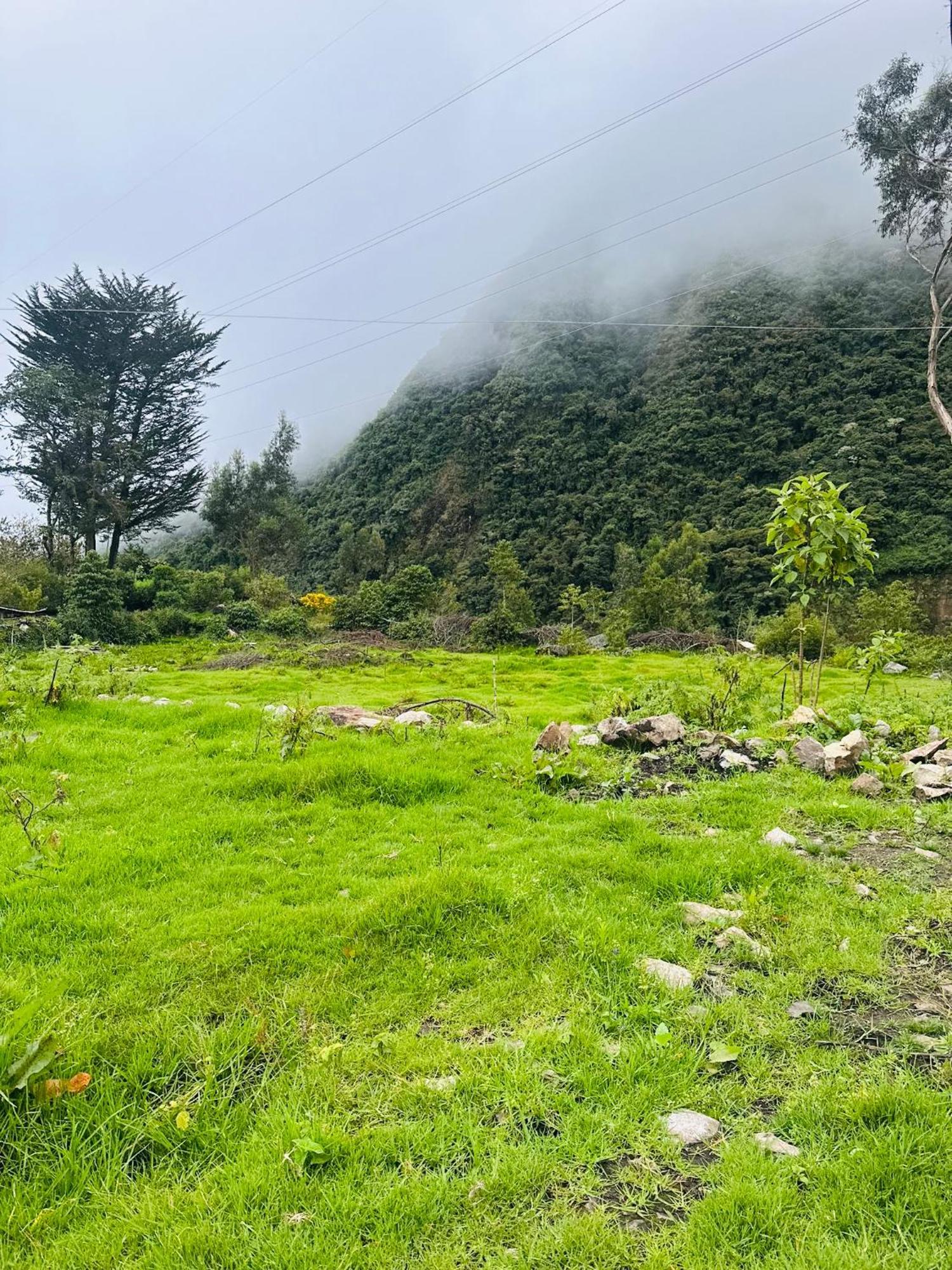 Campsite Salkantay Glamp Colcapampa